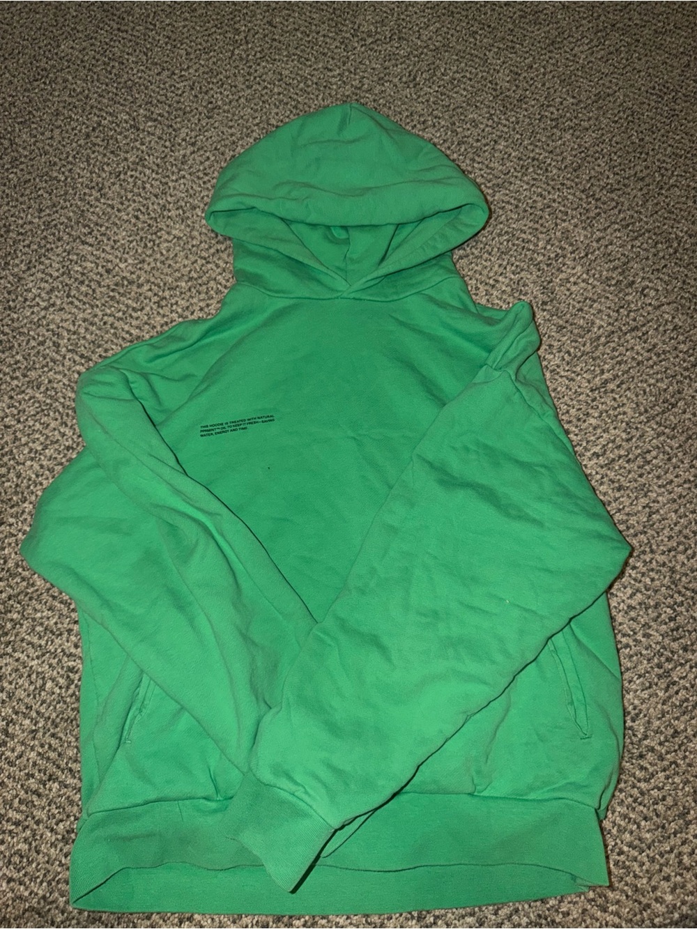 Pangaia Green Hooded Sweatshirt with Subtle Chest Print